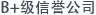 B+级别公司